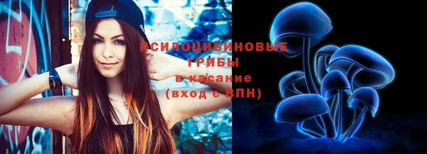 молекула духа Балахна