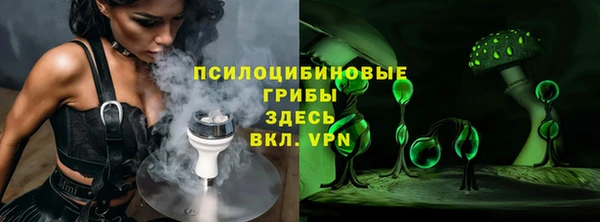 молекула духа Балахна