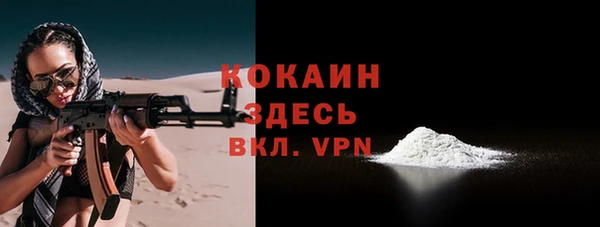 молекула духа Балахна