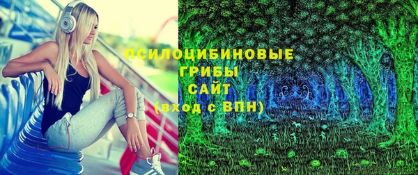 индика Балабаново